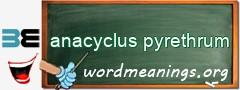 WordMeaning blackboard for anacyclus pyrethrum